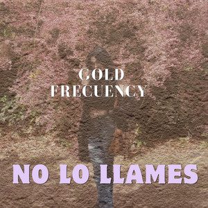No lo llames by Gold Frecuency