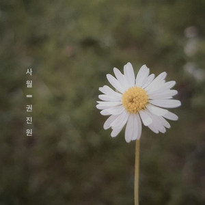 April Blossom by Jin-Won Kwon, jung jaeil