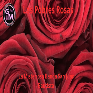 Las Pobres Rosas by La Misteriosa Banda San Juan Bautista