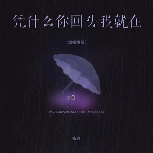 凭什么你回头我就在 by 张良
