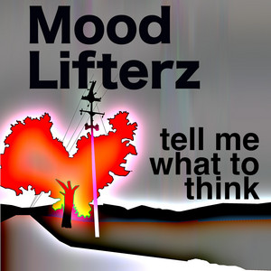 This Is Bullshit - song and lyrics by The Mood Lifterz | Spotify