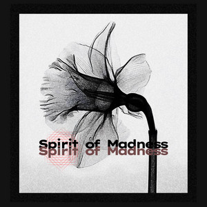 Обкладинка: spirit of madness