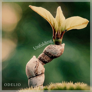 Unfolding by ODELIO