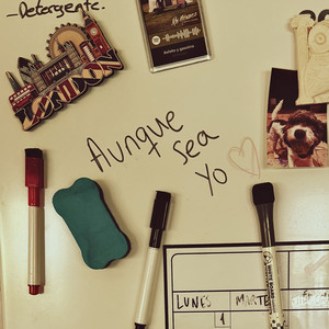 Aunque Sea Yo by Roi