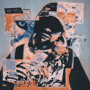 Portada de RONIN