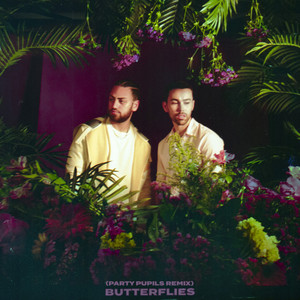 Portada de BUTTERFLIES