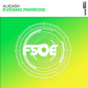 Evening Primrose - Extended Mix by ALIGASH