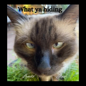 What ya hiding