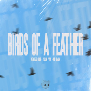 Обкладинка: BIRDS OF A FEATHER - Techno Mix