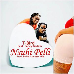 T-bird - Nsuhi Peili (feat. Fancy Gadam)