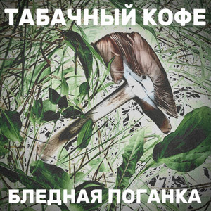 Табачный Кофе - Гордись , что не забыл проснуться!