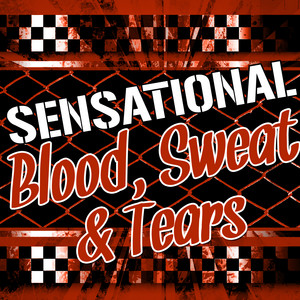 Blood, Sweat & Tears - Spinning Wheel