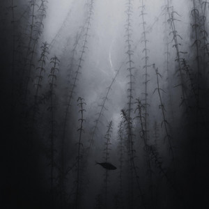 why try to come back after all of that by ABSNT
