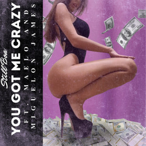 You Got Me Crazy by Miguelon James, Young Maelo, Still Boa