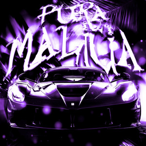 Обкладинка: PURA MALÍCIA - Sped Up
