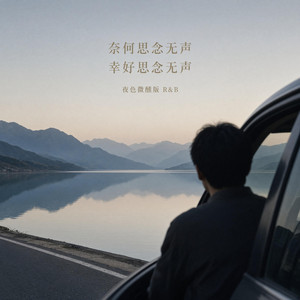 奈何思念无声 幸好思念无声 (R&B)夜色微醺版 by 枕婉叙