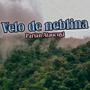 Velo de Neblina by Parian Ataucusi