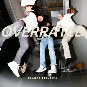 Overrated by Planta Principal