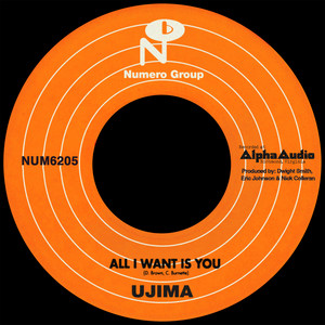 All I Want Is You