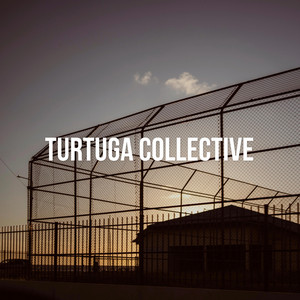 Tu by Turtuga Collective