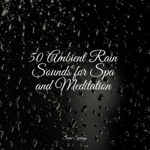 50 Sounds of Rain for Yoga album
