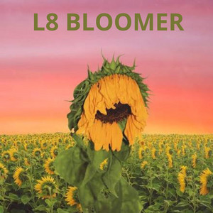 L8 BLOOMER - Intro by NøidVR