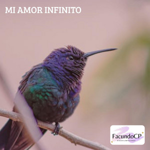 Mi Amor Infinito by FacundoCP