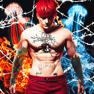 Cover art: Згорання