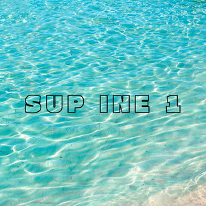 Sup Ine 1