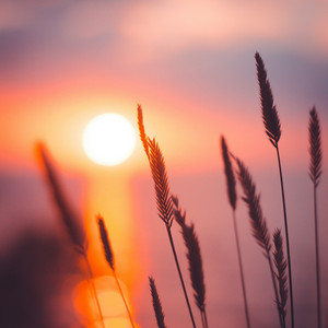 evening rays by cloud cover, Hazue