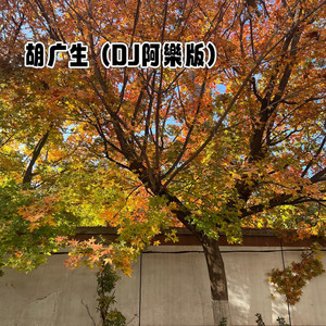 DJ阿樂 - 胡广生 (DJ阿樂版)