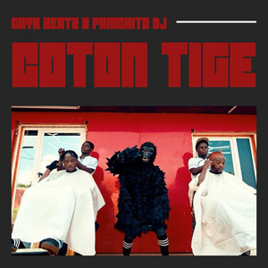 Coton tige