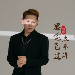 思念飞过太平洋 - Dj越鑫版 by 莺歌, 越鑫