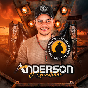 Anderson Garotinho - Boi de Carro