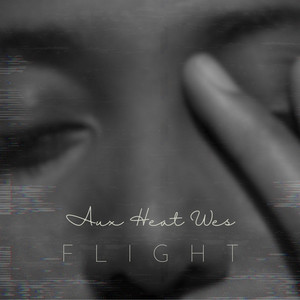 Flight