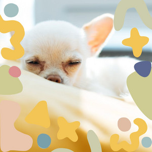 Feelings for Chilling Pups album