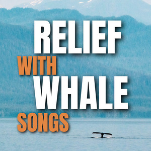 Relief with Whale Songs album