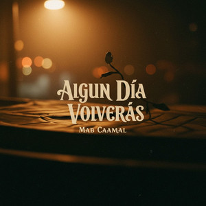 La Casa Frente al Mar