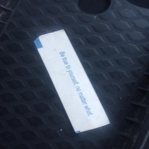 Mattyy Tree - 300 Dollar Mudflaps