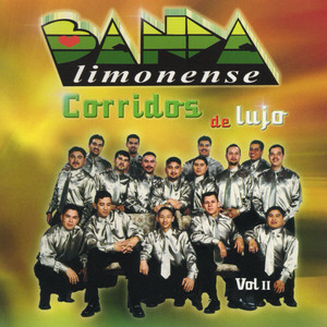 Corridos De Lujo Vol II