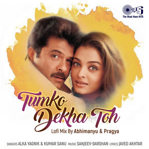 Alka Yagnik, Kumar Sanu & Abhimanyu-Pragya - Tumko Dekha Toh (Lofi Mix)
