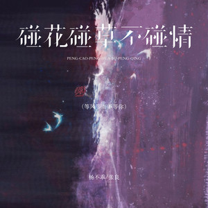 碰花碰草不碰情（等风等雨不等你） by 吴倩, 张良