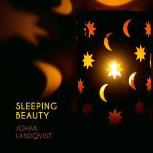 Sleeping Beauty by Johan Landqvist