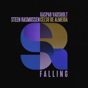 Falling by Steen Rasmussen, Celso de Almeida, Kaspar Vadsholt