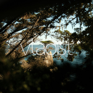 Harmonics by Vladist