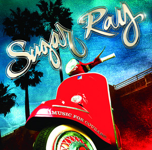 レコード　アナログ　シュガーレイ Sugar Ray