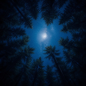 light finds me again by nenne