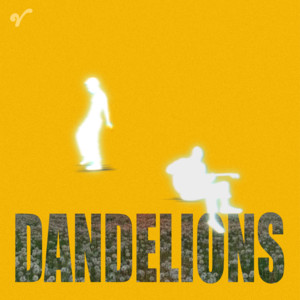 Dandelions by TOS, Felix Hien