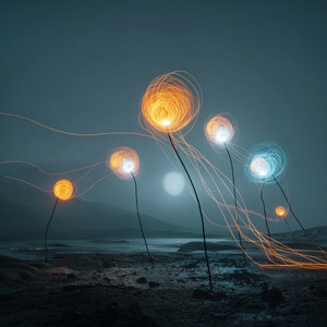 Phantom Frame Bloom by Floating Shapes