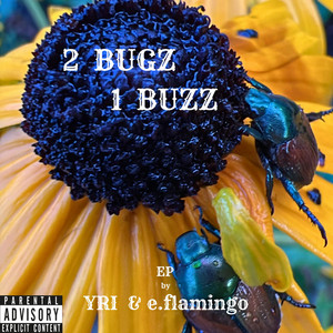 2 BUGZ 1 BUZZ